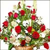Love Passion - Click here to View more details about this Product